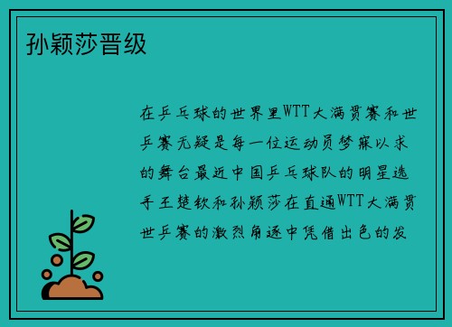 孙颖莎晋级